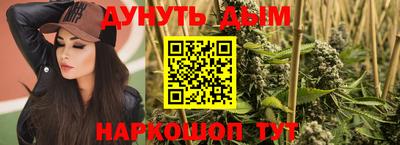 СК Шелехов