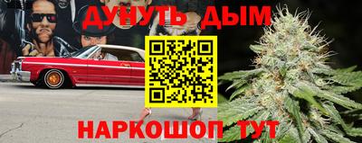 СК Шелехов