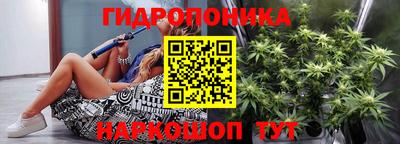 СК Шелехов