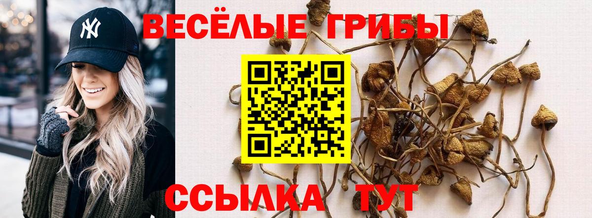 Ярославль  Псилоцибиновые грибы Psilocybe  хочу наркоту  Вход с VPN  Галлюциногенные грибы GOLDEN TEACHER 