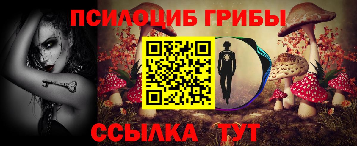 Галлюциногенные грибы Psilocybine cubensis Ярославль